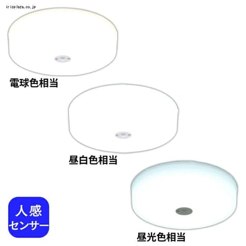 小型シーリングライト 人感センサー付 SCL20DMS-HL 昼光色