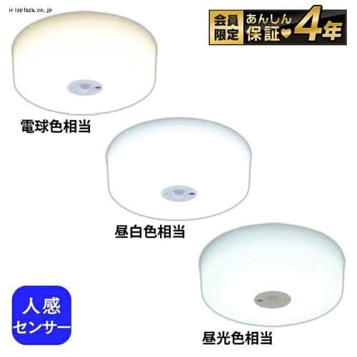 【完売品】【2個セット】小型シーリングライト 人感センサー付 SCL5DMS-HL 昼光色