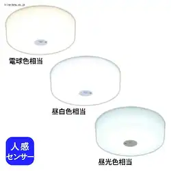 y󂠂z^V[OCg lZT[t SCL9LMS-HL dF y\z