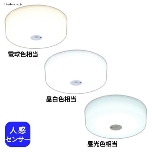 小型シーリングライト 人感センサー付 SCL9MS-HL 