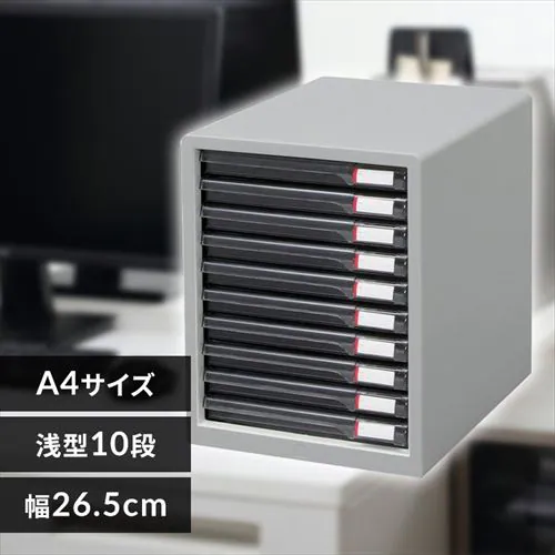 ރP[X  ^[P[X A4 10i ~߃Srt L-10SR CgO[_0
