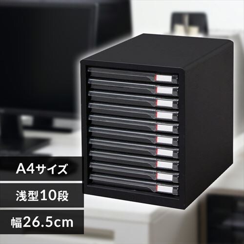 ރP[X A4 10i ^[P[X L-10SR _[NO[_0