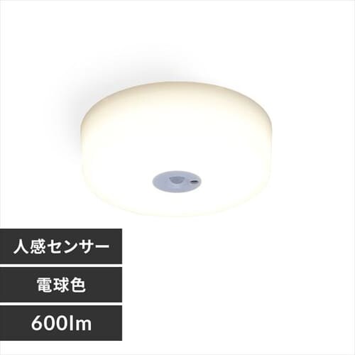 V[OCg LED ^ ^T[LbgV[Y 600lm lZT[t dF  L Lb` ʏ N[[bg Ɩ SCL6LMS-MCHL_0