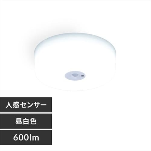 V[OCg LED ^ ^T[LbgV[Y 600lm lZT[t F  L Lb` ʏ N[[bg Ɩ SCL6NMS-MCHL_0