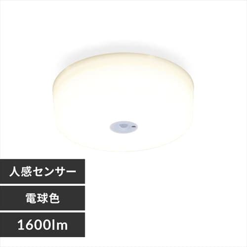 ^V[OCg ^T[LbgV[Y 1600lm lZT[t S3F