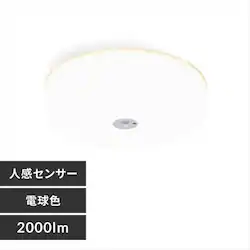 yizV[OCg LED ^ ^T[LbgV[Y 2000lm lZT[t F  L Lb` ʏ N[[bg Ɩ SCL20NMSMCHL