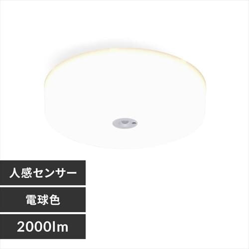 yizV[OCg LED ^ ^T[LbgV[Y 2000lm lZT[t F  L Lb` ʏ N[[bg Ɩ SCL20NMSMCHL_0