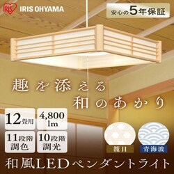 �y�󂠂�z�y���_���g���C�g �a�� 12�� ���F �Ė� ���^���T�[�L�b�g�V���[�Y PLM12DL-KG