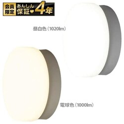 LED|[` p ی` F 1020lm CL10N-CIPLS-BS