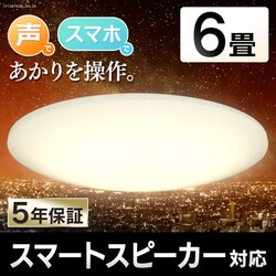 y󂠂zLEDV[OCg 6.0 6F AIXs[J[RMS CL6DL-6.0HAITy\z