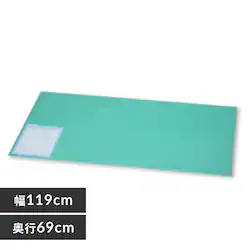 �f�X�N�}�b�g ��119�~���s69 DMT-1169PN