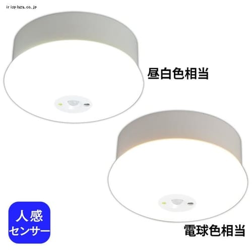 LED小型シーリングライト 450lm 昼白色 センサー付き SCL4N−MS