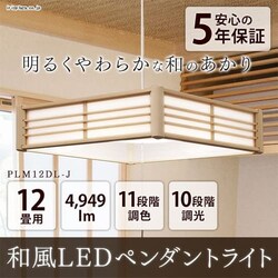 �y�󂠂�z�y���_���g���C�g �a�� 12�� ����/���F ���^���T�[�L�b�g�V���[�Y PLM12DL-J 