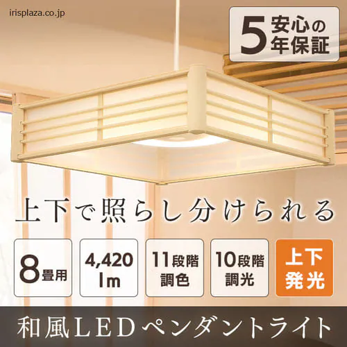 �y�󂠂�z�a���y���_���g���C�g ���^���T�[�L�b�g�V���[�Y 8��㉺���F PLM8DL/DL-J�@_0