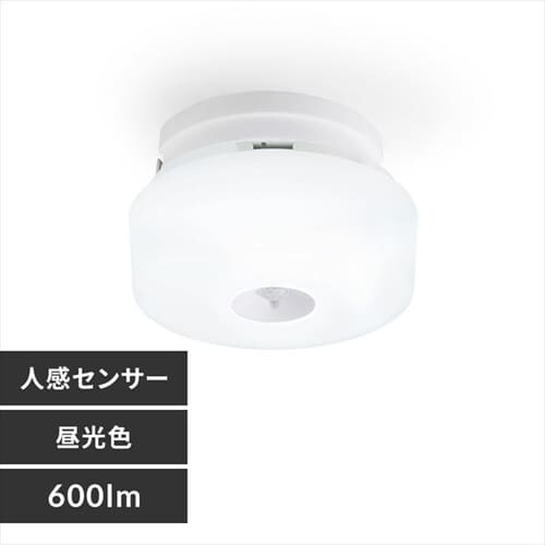 V[OCg LED ^ 600lm lZT[t F  L Lb` ʏ N[[bg Ɩ MCL6D-SK_0