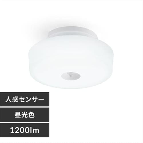【2個セット】シーリングライト LED 小型 1200lm 人感センサー付 昼光色 玄関 廊下 キッチン 洗面所 クローゼット 照明 MCL12D-SK