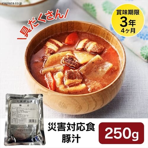  非常食 防災食 災対食パウチ 豚汁 250g