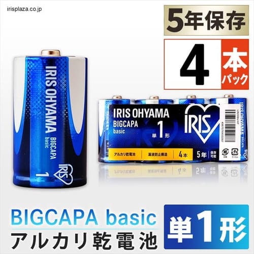 アイリスオーヤマ アルカリ乾電池 BIG CAPA 大容量タイプ 長寿命 α