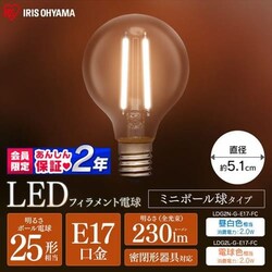 LEDtBgd E17 S^Cv 25W` dF `Ή LDG2L-G-E17-FC ~j{[