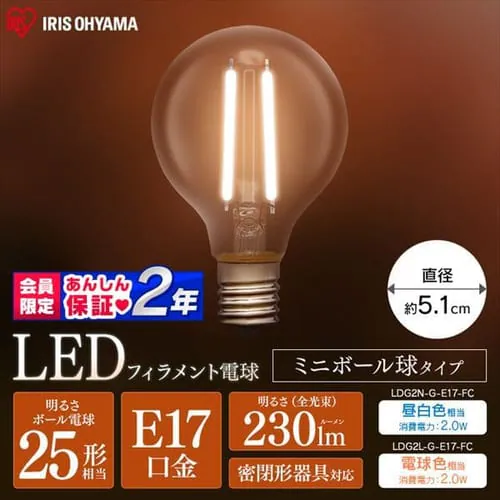 LEDtBgd E17 S^Cv 25W` `Ή ~j{[ (FEdF)_0