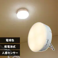 �Z���T�[���C�g LED ���d�r�� �}���`�^�C�v �d���F BSL40ML-WV2