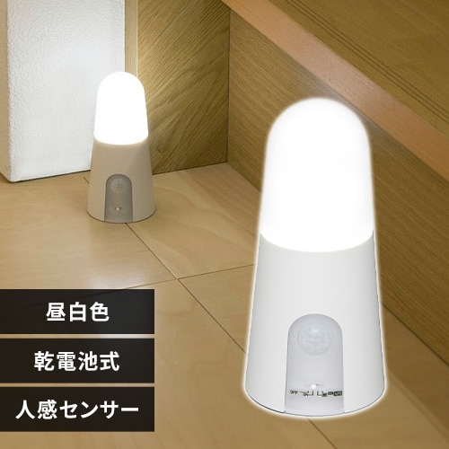 ＜アイリスプラザ＞ 乾電池式LEDセンサーライト スタンドタイプ BSL40S画像