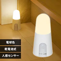 ZT[Cg LED dr X^h^Cv dF BSL40SL-WV2