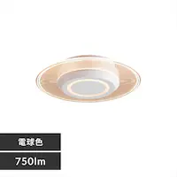 plCg ^ LED 750lm dF  L Lb` ʏ N[[bg gC u Ɩ SCL-75L-LGP