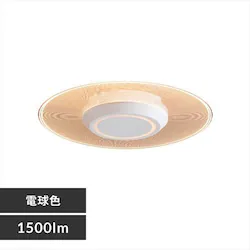 パネルライト 小型 LED 1500lm 電球色 玄関 廊下 キッチン 洗面所 クローゼット トイレ 物置 照明 SCL-150L-LGP