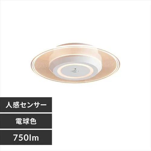 plCg ^ LED 750lm lZT[t dF  L Lb` ʏ N[[bg gC u Ɩ SCL-75LMS-LGP_0
