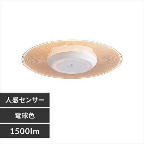 plCg ^ LED 1500lm lZT[t dF  L Lb` ʏ N[[bg gC u Ɩ SCL-150LMS-LGP_0