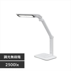 LEDfXNCg 2500lx iK LDL-502-W zCg
