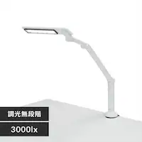 LEDfXNCg 3000lx Nv^Cv LDL-701CL-W zCg