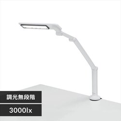 y󂠂zLEDfXNCg 3000lx x[X^Cv LDL-701-W zCg