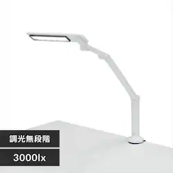 LEDfXNCg 3000lx Nv^Cv LDL-701CL-W zCg