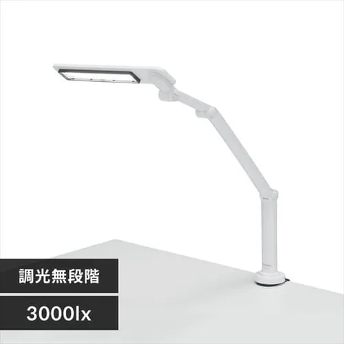 LEDfXNCg 3000lx Nv^Cv LDL-701CL-W zCg_0