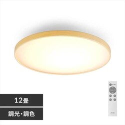 LED �V�[�����O���C�g 12�� ���� ���F �H��E�H���s�v �����R���t�� 1�N�ۏ� ACL-12DLUR