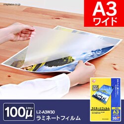 y󂠂zy30z ~l[gtB A3 Ch 100m LZ-A3W30