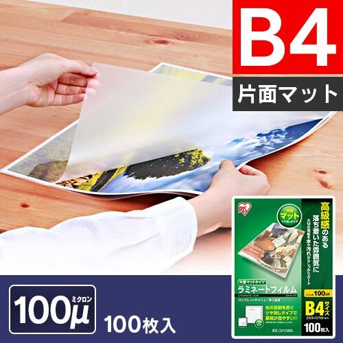 yizy500z ~l[gtB B4 Жʃ}bg 100m 100~5 LZM-B4100_0