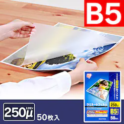 y50z ~l[gtB B5 250m LZ-25B550