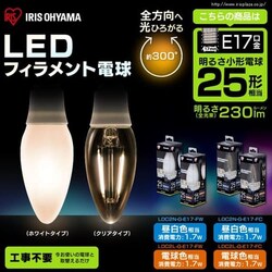 LEDtBgd E17 S^Cv 25W` F LDC2N-G-E17-FW zCg^Cv