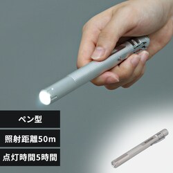 nfBCg LED y^ d Ɠ [NCg 100lm LWK-100P