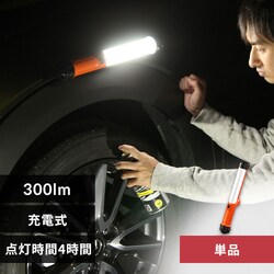 [NCg LED XeBbNCg [d d Ɠ 300lm LWS-300SB