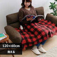 �d�C�ѕz 60�~120�p �����Z���T�[ EBK-1206-ZR ���b�h