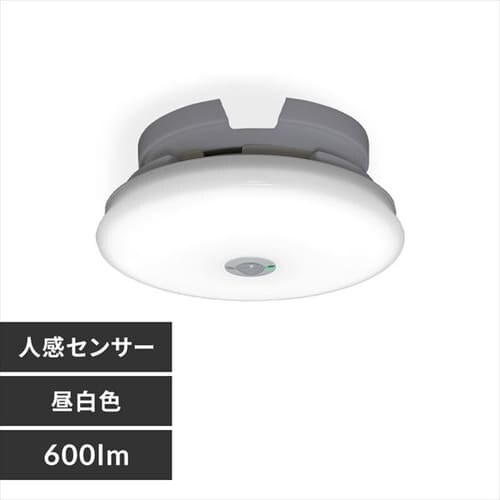 V[OCg LED ^ ` 600lm lZT[t F  L Lb` ʏ N[[bg Ɩ SCL6NMS-UU_0