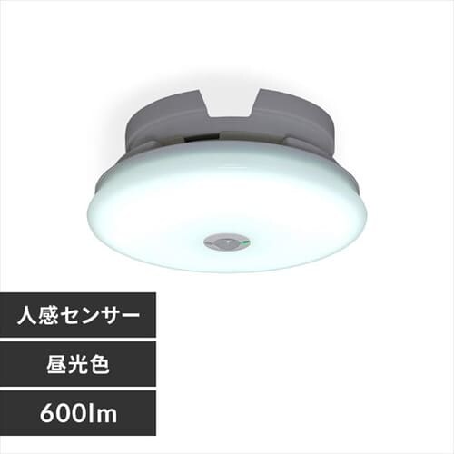 V[OCg LED ^ ` 600lm lZT[t F  L Lb` ʏ N[[bg Ɩ SCL6DMS-UU_0