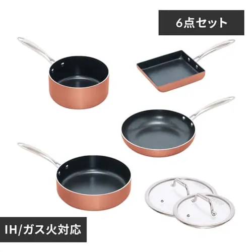 �y�󂠂�z�_�C�������h�O���C�X�@6�_�Z�b�g �u�����Y DG-SE6_0