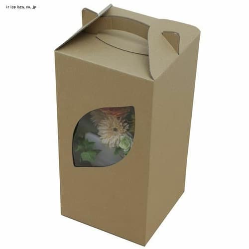_{[ t[BOX M-DB-FL