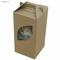 _{[ t[BOX M-DB-FL