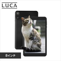 ^ubg 8C` y 64GB C4GB 8RA [J[ یtBW LUCA TE08D2M64-V1B ubN